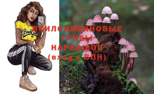 бутират Коряжма