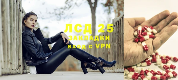 spice Корсаков