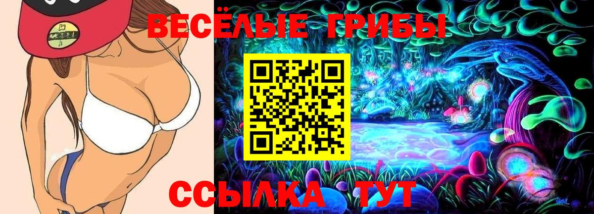 Псилоцибиновые грибы MAGIC MUSHROOMS  Вход с VPN  как найти   Можга 
