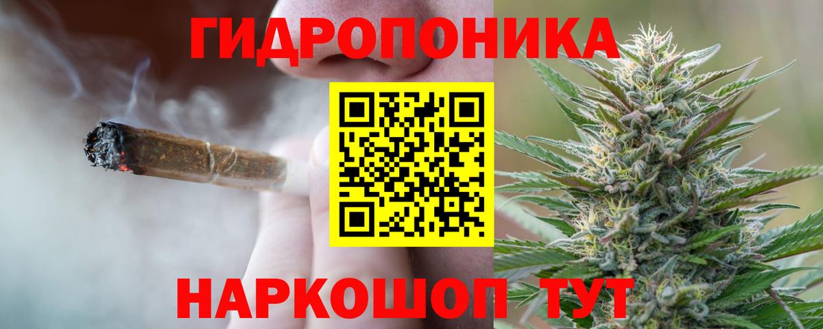 Бошки Шишки сатива  Канабис сатива  Можга  Вход с VPN  Шишки марихуана LSD WEED  Канабис Bruce Banner 